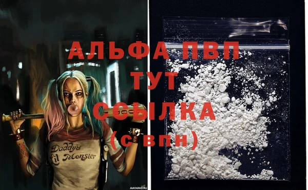 твердый Каменногорск