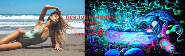 кокаин Каменка