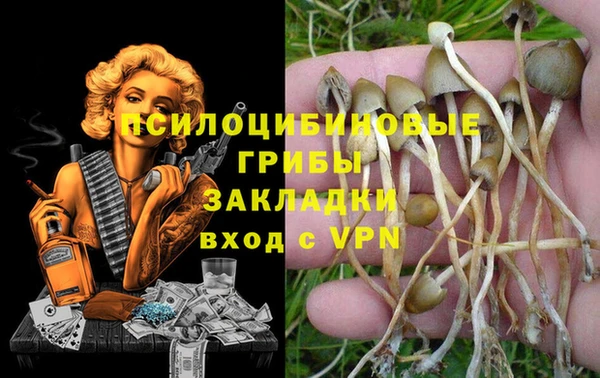 кокаин Каменка