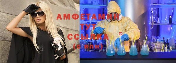 твердый Каменногорск